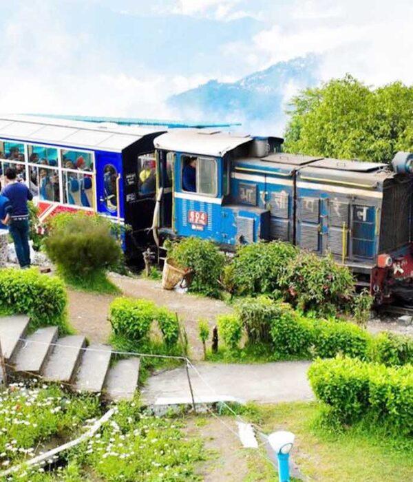 Sikkim Darjeeling Gangtok Tour
