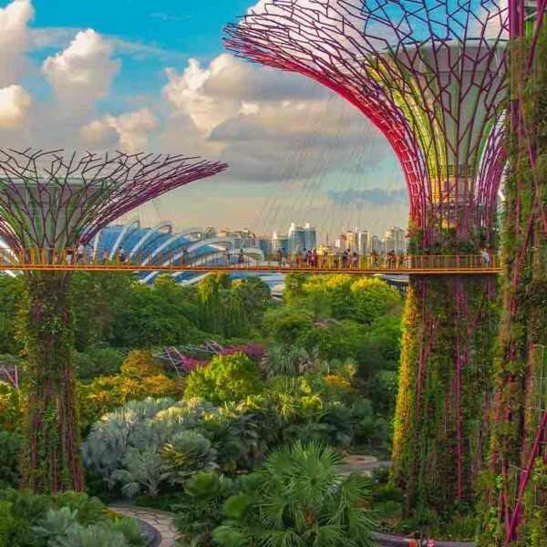 Singapore Tour