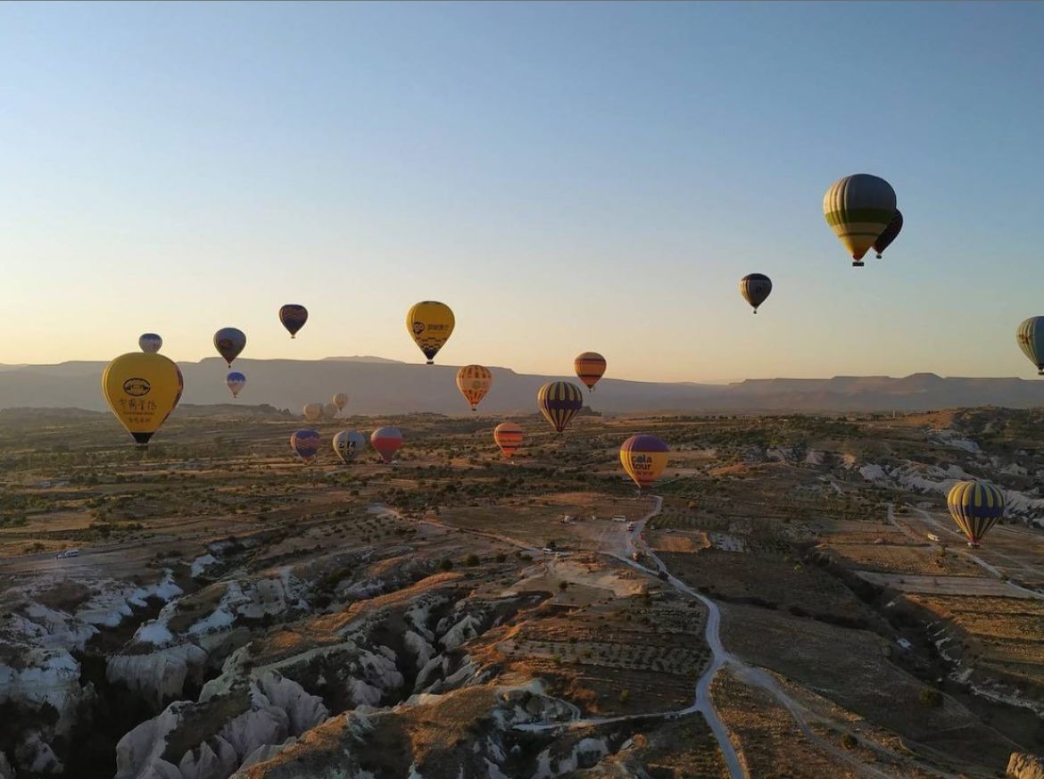 WhatsApp Image 2026-02-03 at 1.35.14 PM